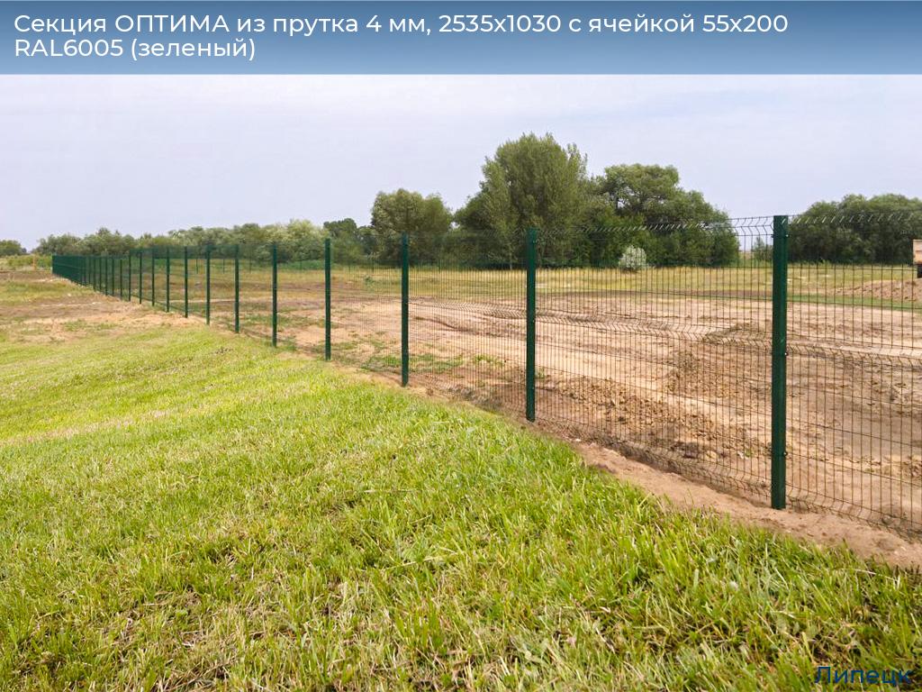 Секция ОПТИМА из прутка 4 мм, 2535x1030 с ячейкой 55х200 RAL6005 (зеленый), lipetsk.doorhan.ru