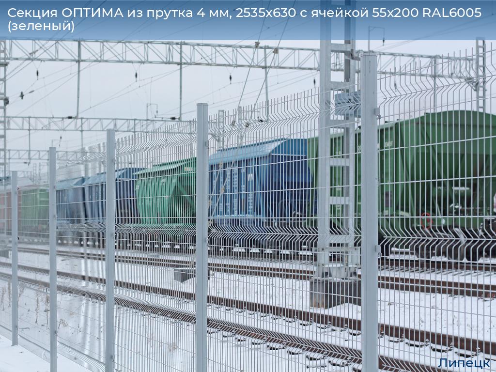 Секция ОПТИМА из прутка 4 мм, 2535x630 с ячейкой 55х200 RAL6005 (зеленый), lipetsk.doorhan.ru