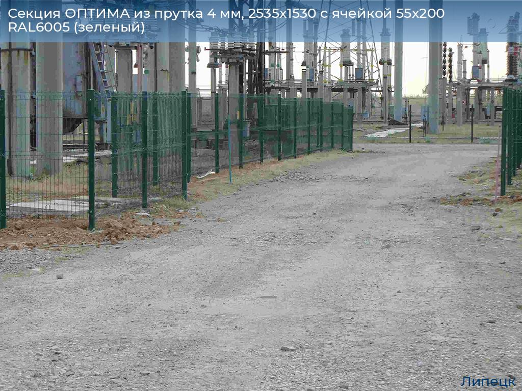 Секция ОПТИМА из прутка 4 мм, 2535x1530 с ячейкой 55х200 RAL6005 (зеленый), lipetsk.doorhan.ru