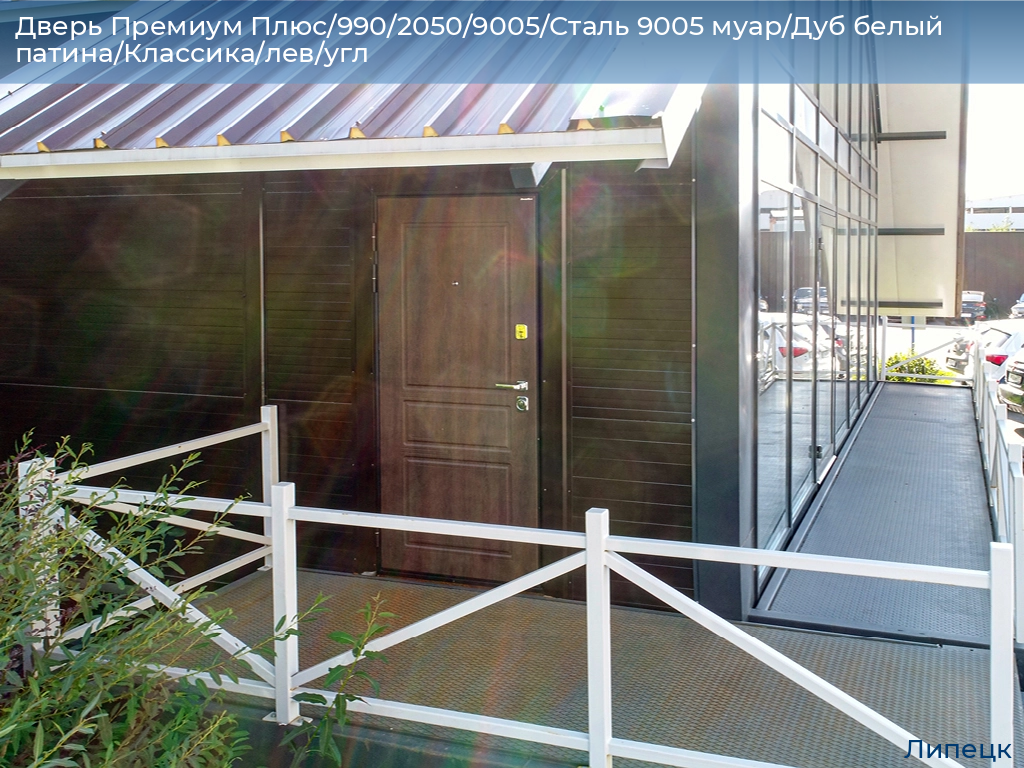 Дверь Премиум Плюс/990/2050/9005/Сталь 9005 муар/Дуб белый патина/Классика/лев/угл, lipetsk.doorhan.ru