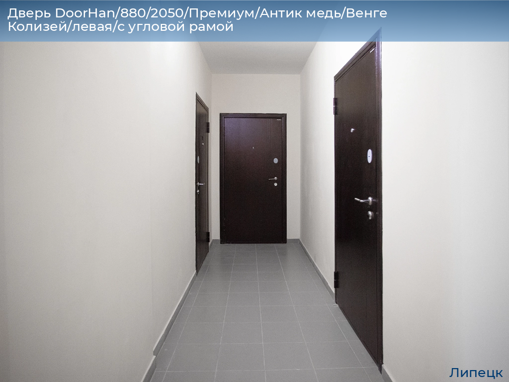 Дверь DoorHan/880/2050/Премиум/Антик медь/Венге Колизей/левая/с угловой рамой, lipetsk.doorhan.ru