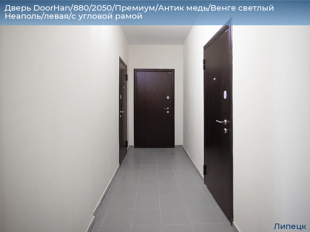 Дверь DoorHan/880/2050/Премиум/Антик медь/Венге светлый Неаполь/левая/с угловой рамой, lipetsk.doorhan.ru