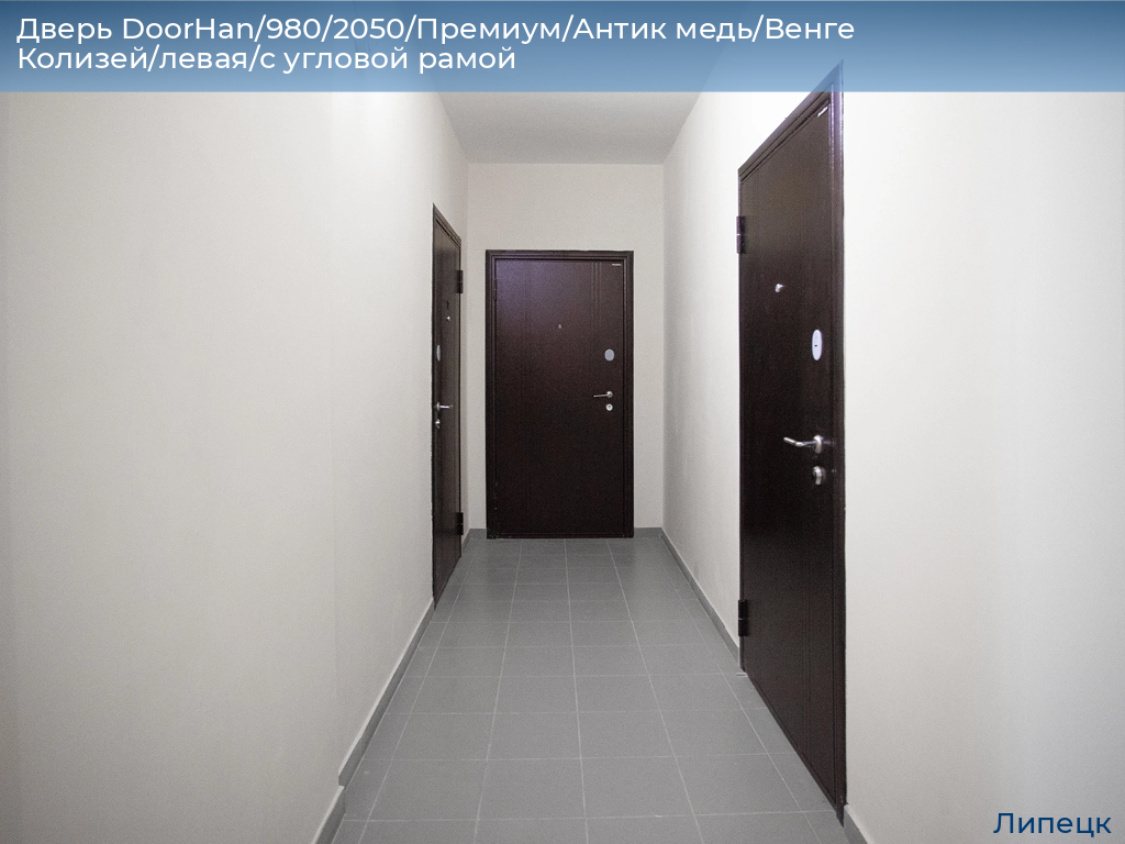 Дверь DoorHan/980/2050/Премиум/Антик медь/Венге Колизей/левая/с угловой рамой, lipetsk.doorhan.ru