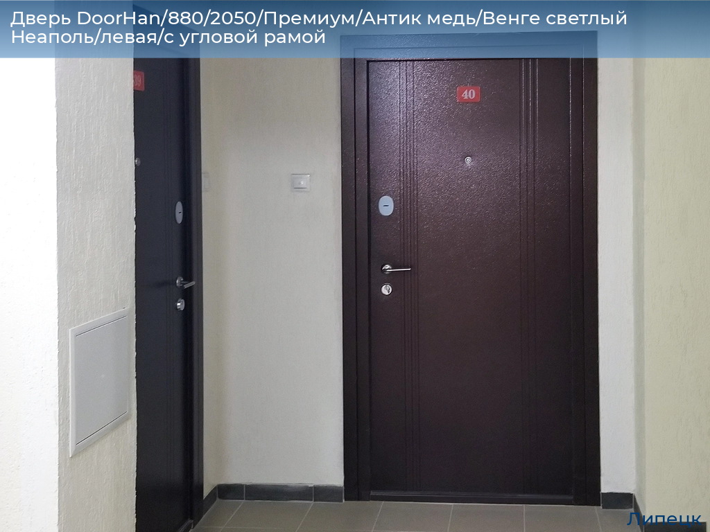 Дверь DoorHan/880/2050/Премиум/Антик медь/Венге светлый Неаполь/левая/с угловой рамой, lipetsk.doorhan.ru