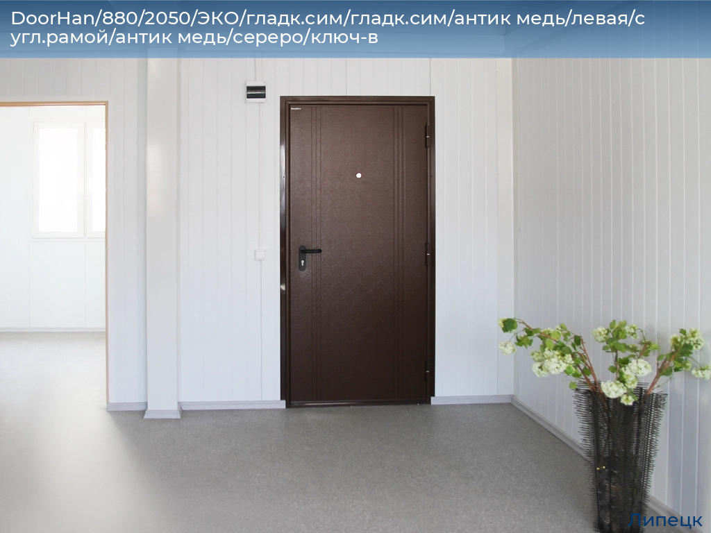 DoorHan/880/2050/ЭКО/гладк.сим/гладк.сим/антик медь/левая/с угл.рамой/антик медь/сереро/ключ-в, lipetsk.doorhan.ru