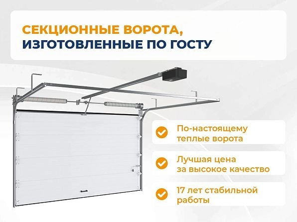Cекционные ворота 2900х2200 мм коричнево-красные DoorHan RSD02, lipetsk.doorhan.ru